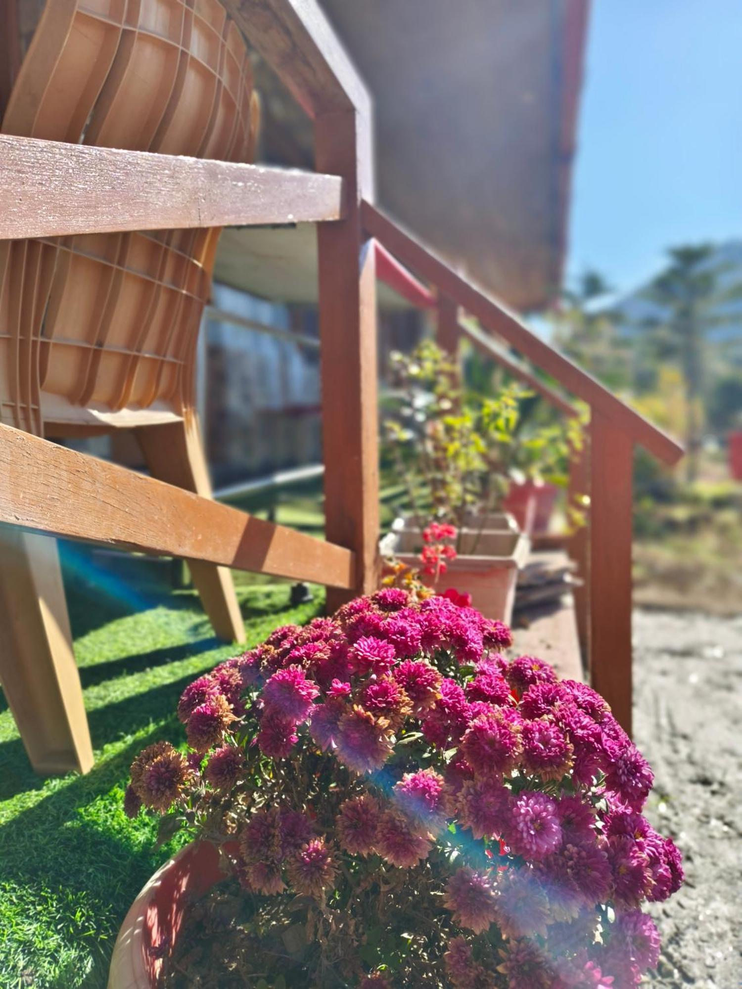 Naina Bird Cottage ナイニタール エクステリア 写真